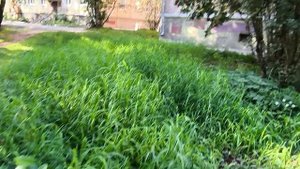 находки в поле 2 часть