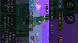 новое обновление