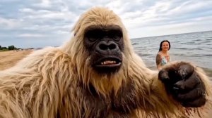 снежный человек уехал на юг