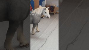 советы по съёмкам