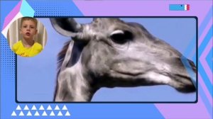 Наш Краснодар. Рассказ о своем городе.