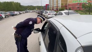 Новости Зеленодольска 05.09.2025