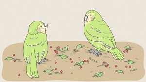 Сериал Невероятные факты эволюции — 10 серия / Zannen na Ikimono