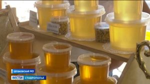 «Вести. Ставропольский край» 6.09.2025 (20.50)