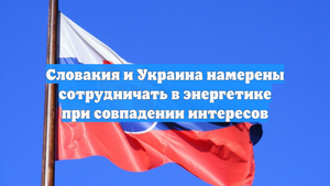 Словакия и Украина намерены сотрудничать в энергетике при совпадении интересов