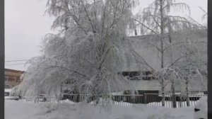 Падал снег. Зимний вид