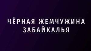 Шерловогорцы отметили 55-летие Харанорского разреза