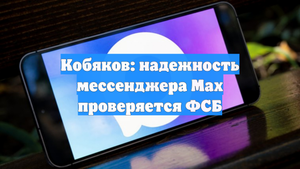 Кобяков: надежность мессенджера Max проверяется ФСБ