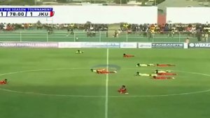 Во время футбольного матча в Танзании стадион атаковал рой пчёл и игрокам, судьям, тренерам пришлось
