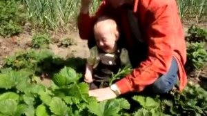 Заливной смех / видео приколы 2025 смотреть онлайн / приколы видео самые смешные /