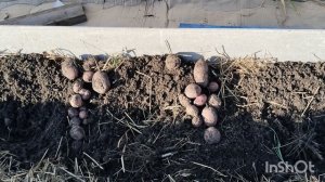 6 сентября. О разном