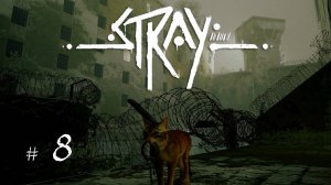 Stray #8 | Побег из Котушенка