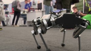 Новгородская область готова встречать Чемпионат высоких технологий в третий раз