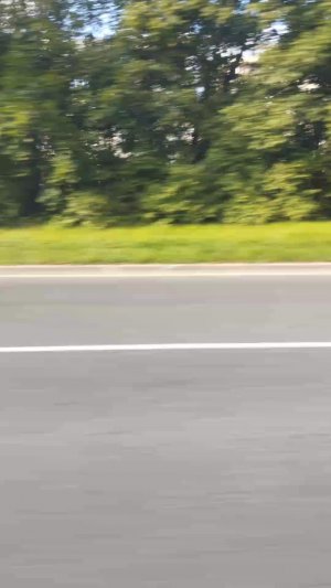 Поездки в общественном транспорте | 6-сен-2025, 4