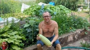 Урожай в моём саду.