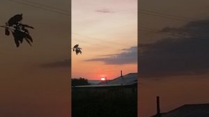 11 июня 2025 г Рассвет