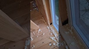 1000033882.mp4 (Собака наблюдает за устройством откосов у оконных проёмов в доме А-фрейм)