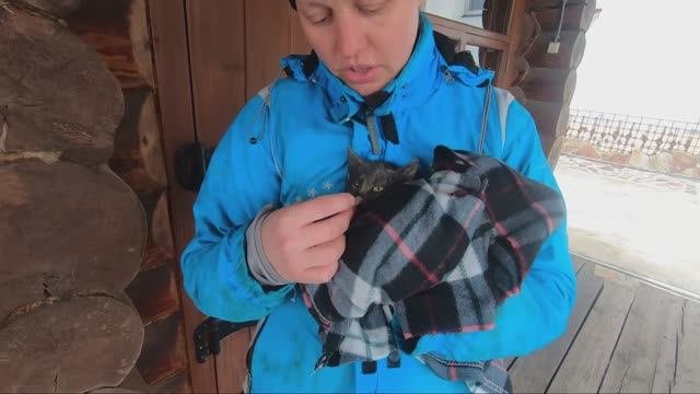 Шеба.  Начало истории