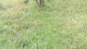 1000020221.mp4