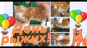 06.09.25 - День рыжих