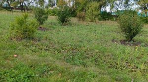 Деревенская прогулка, уютная жизнь в деревне