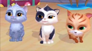 У нас 3 котенка