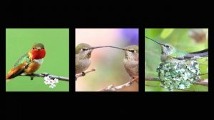 Plu-Ton  - Road to Heaven