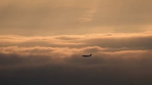 Пилот под грибами пытался "остановить" пассажирский лайнер в небе