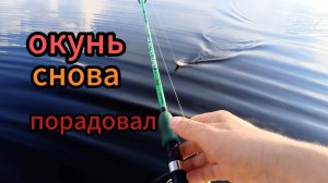 Рыбалка на спиннинг, окунь щука радуют