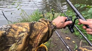 ПРОВЕРИЛ 3 ОЗЕРА ПОРЫБАЧИЛ И НАБРАЛ ГРИБОВ