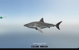 Большая белая1548