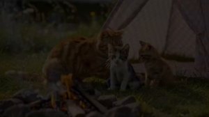 Мультики про котов - История старой рубашки котенка Лаки обретает счастливый конец