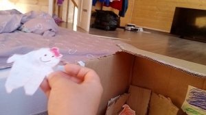 начала фильма