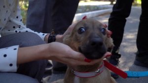 6 августа 2025