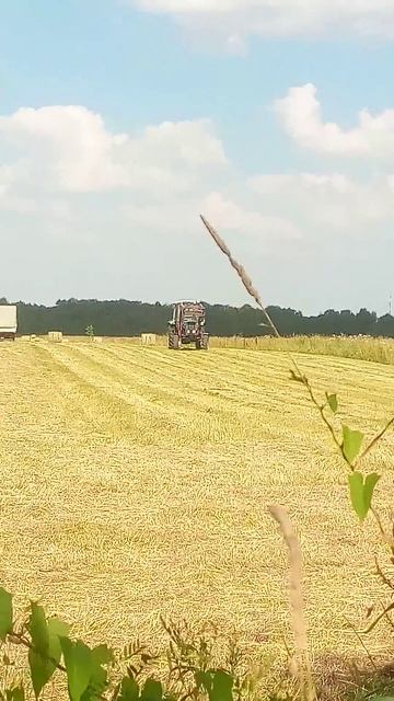 Уборка сена #shorts_video #природныепейзажи #лето