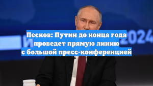 Песков: Путин до конца года проведет прямую линию с большой пресс-конференцией