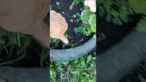 Рецепты завтра сегодня уборка