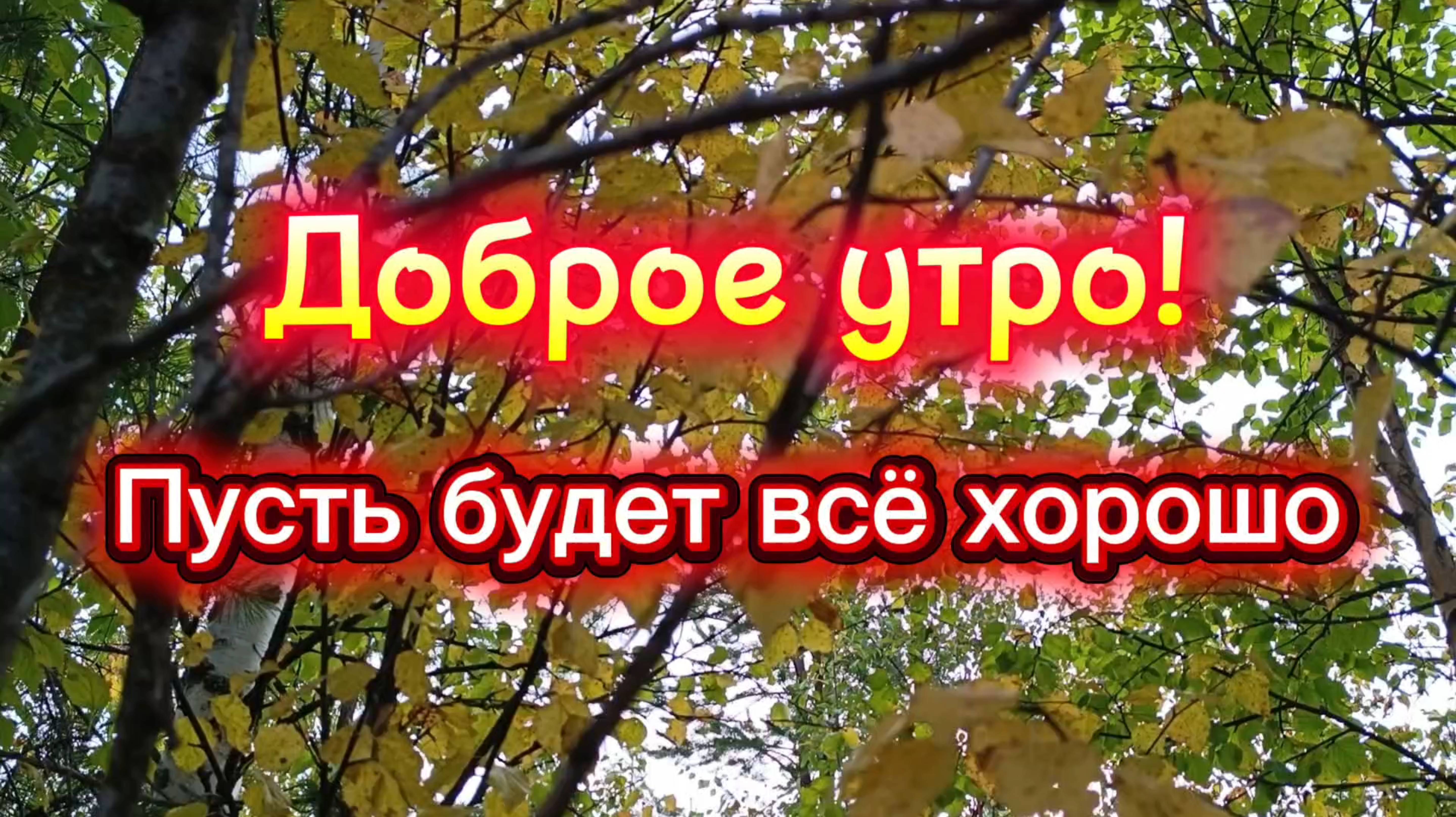 Доброе утро! Осень в окно, пусть будет всё хорошо!