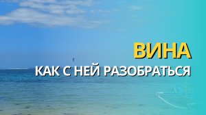 Вина: как с ней разобраться