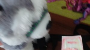 новое видео