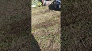 мы на даче