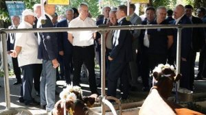 Выставка-ярмарка «Урожай-2025» открылась в Михайловске