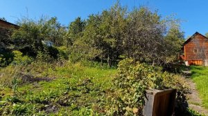 Я умер чуть...