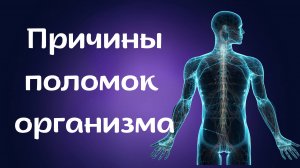 Причины поломок Организма
