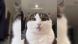 Да не трындычи ты... Я в прямом эфире желаю всем спокойной ночи...