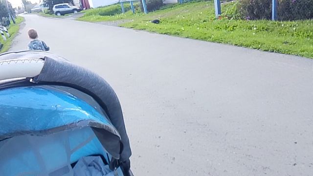 прогулка на Вайлдберриз