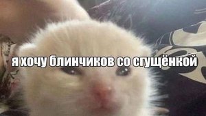 Дюп машина ?