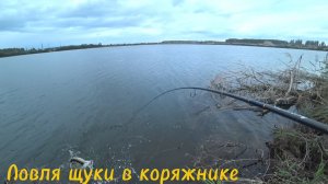 Атаки щук из под коряг. Воблер за 70₽ сделал эту рыбалку!