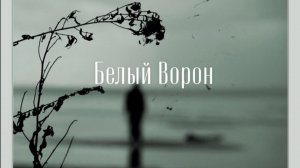 БЕЛЫЙ ВОРОН 𓄿