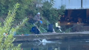 Утро.Форель